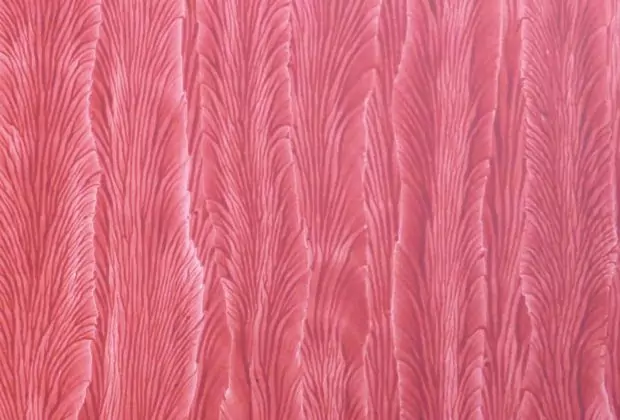 Bundpapierwerkstatt Kurs